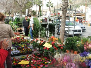 Las plantas y flores también están presentes en el mercado